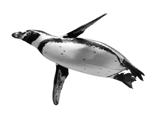 enterprise resource planning penguin